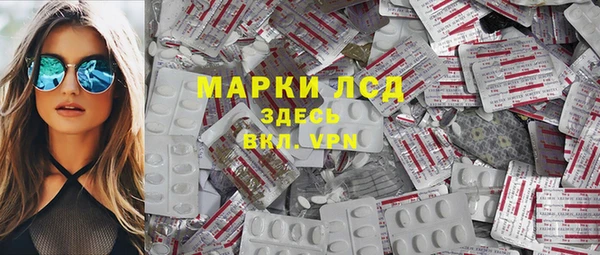 PSILOCYBIN Балабаново