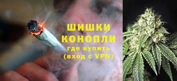PSILOCYBIN Балабаново