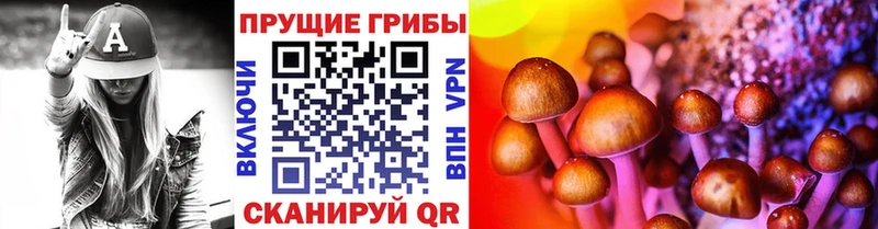 Галлюциногенные грибы Psilocybine cubensis  Морозовск 