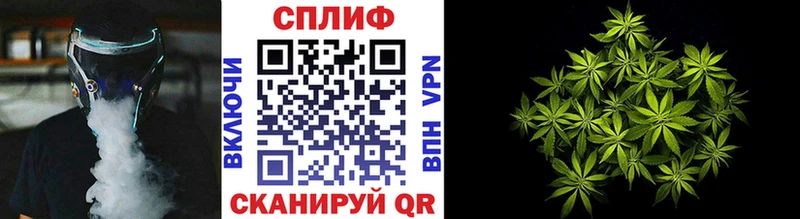 Конопля MAZAR  Морозовск 